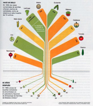 tabla de variedades frutas y verduras desaparecidas