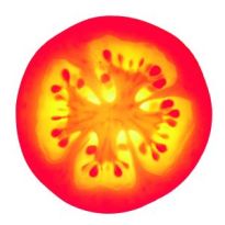 photo by: John Olsson